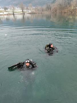 Potop drevesca Foto Som (3)